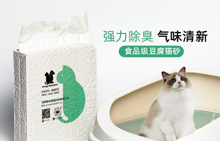 铲屎官该如何选择一款合适自己宠物的猫砂？