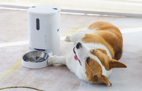 2023宠物用品选购指南（二）