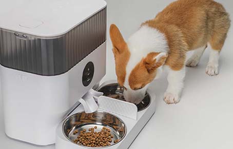 狗狗怎么喂食比较好？宠物智能喂食器