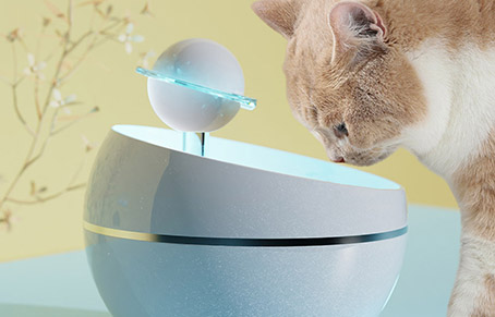 猫咪不爱喝水怎么办？猫咪不爱喝水的原因是什么？