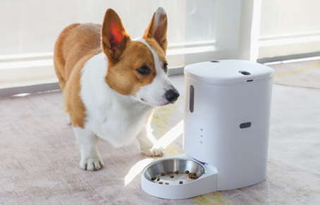 宠物喂食器里的狗粮可以保存多久？