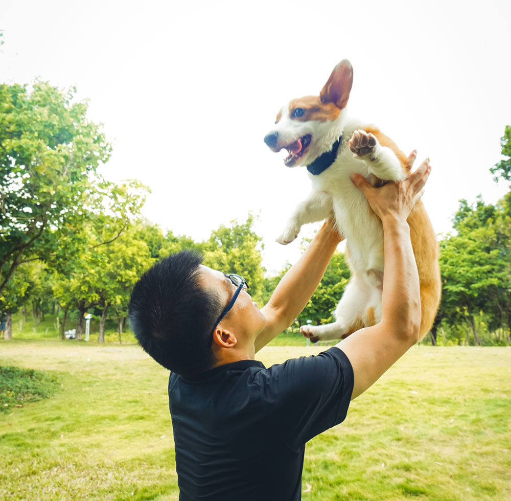 pet gps tracker