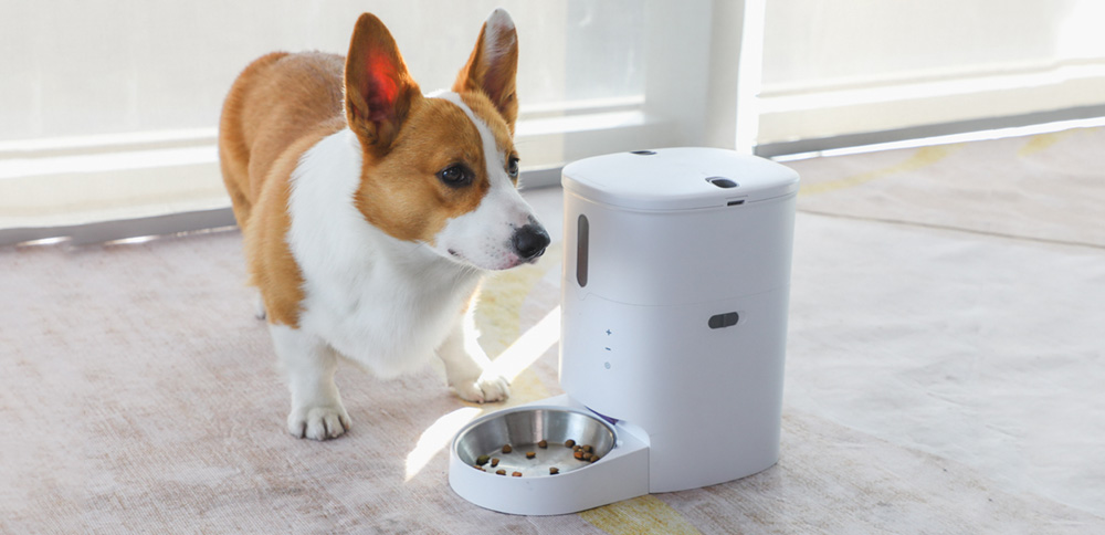 自动猫咪喂食器