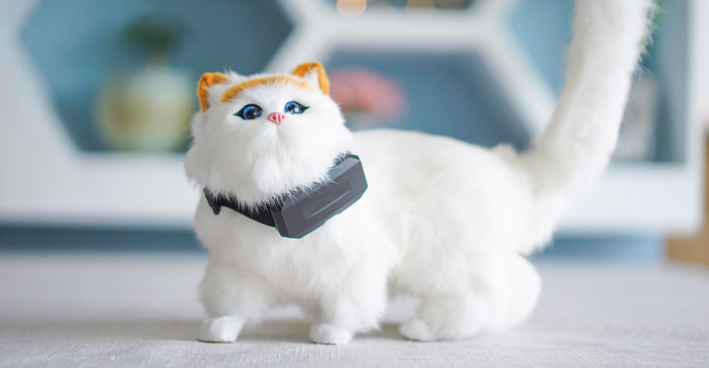 小猫咪定位器