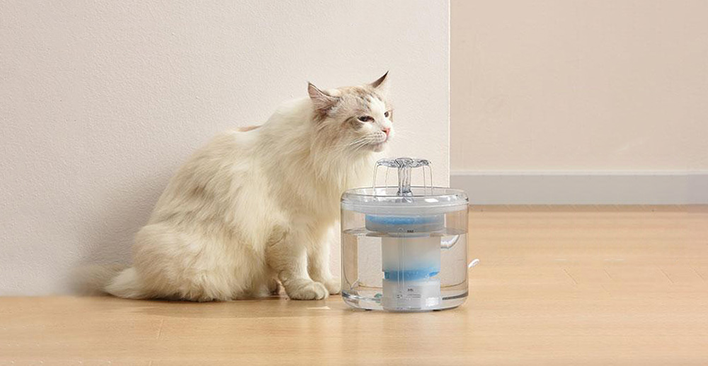 猫用饮水机