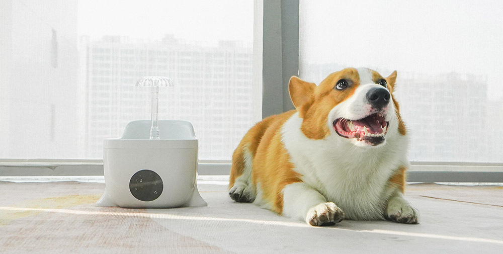 狗狗饮水器