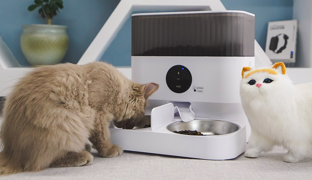 宠物猫咪喂食器
