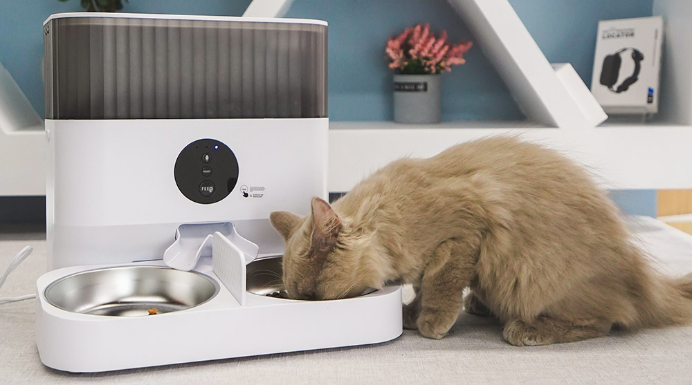 自动猫咪喂食