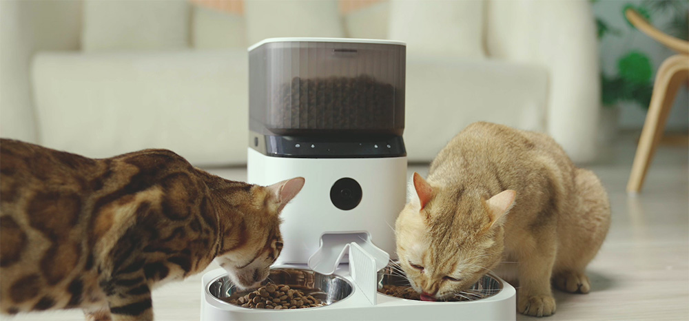 宠物喂食器