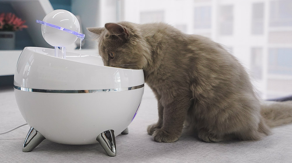 猫用的饮水机