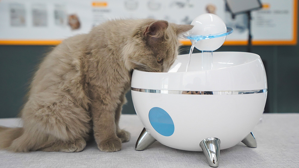 猫咪饮水机