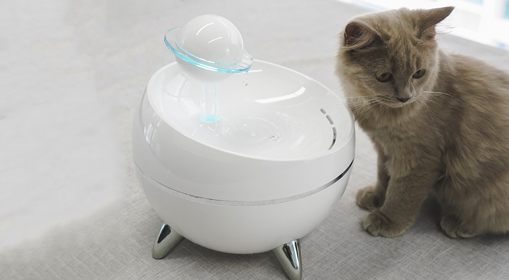 猫狗饮水器